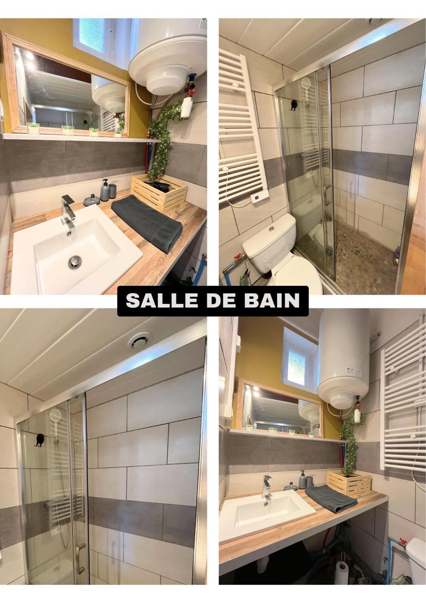 Appartement Le Petit Republicain à Le Péage-de-Roussillon Extérieur photo